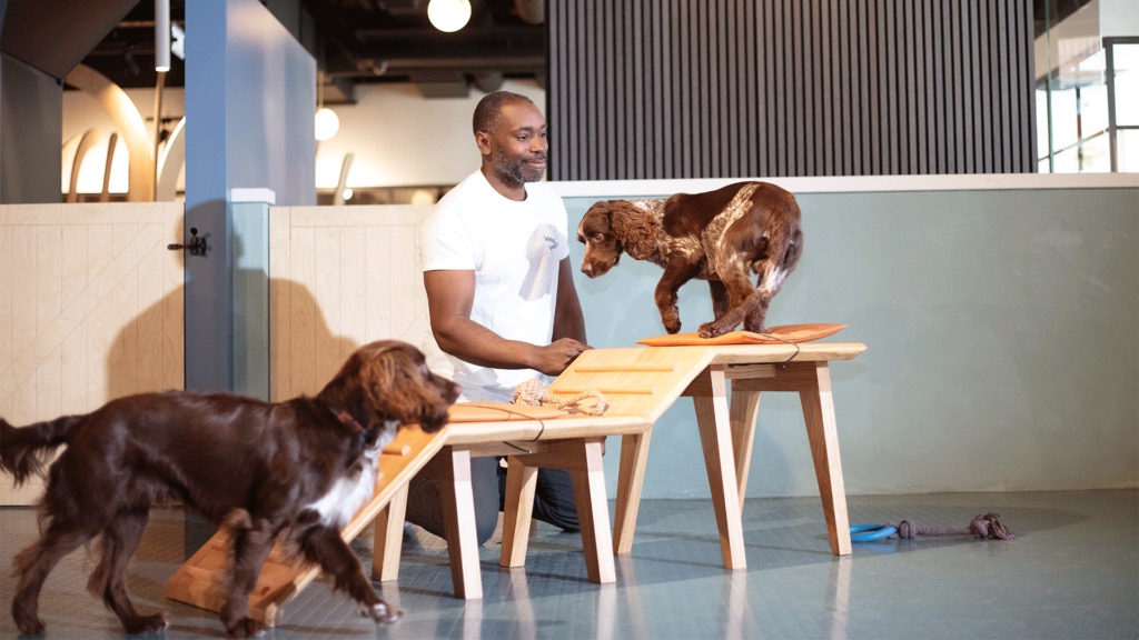 Exciting training ideas & games for you & your dog