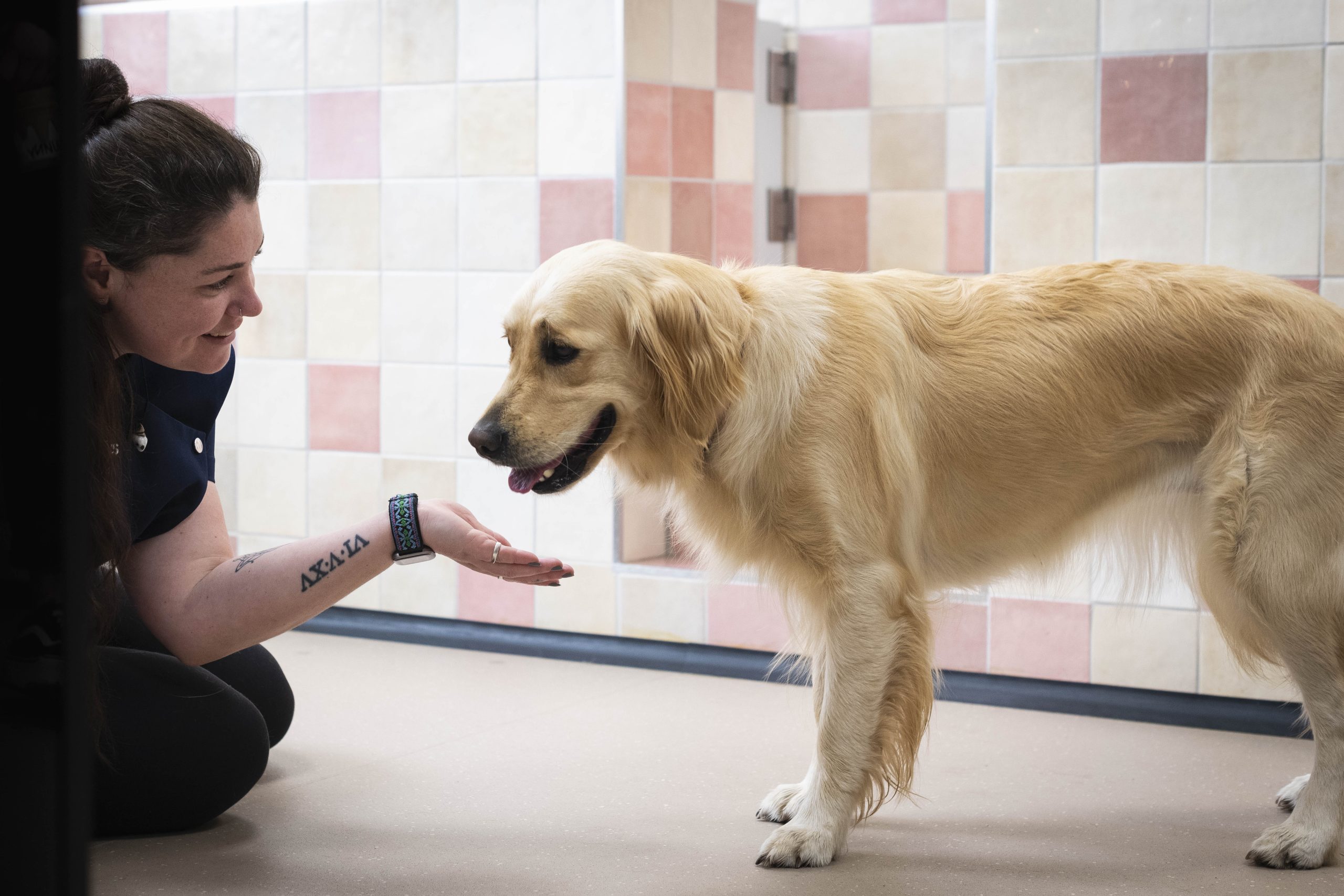 Understanding and Overcoming Separation Anxiety with Winkie Spiers
