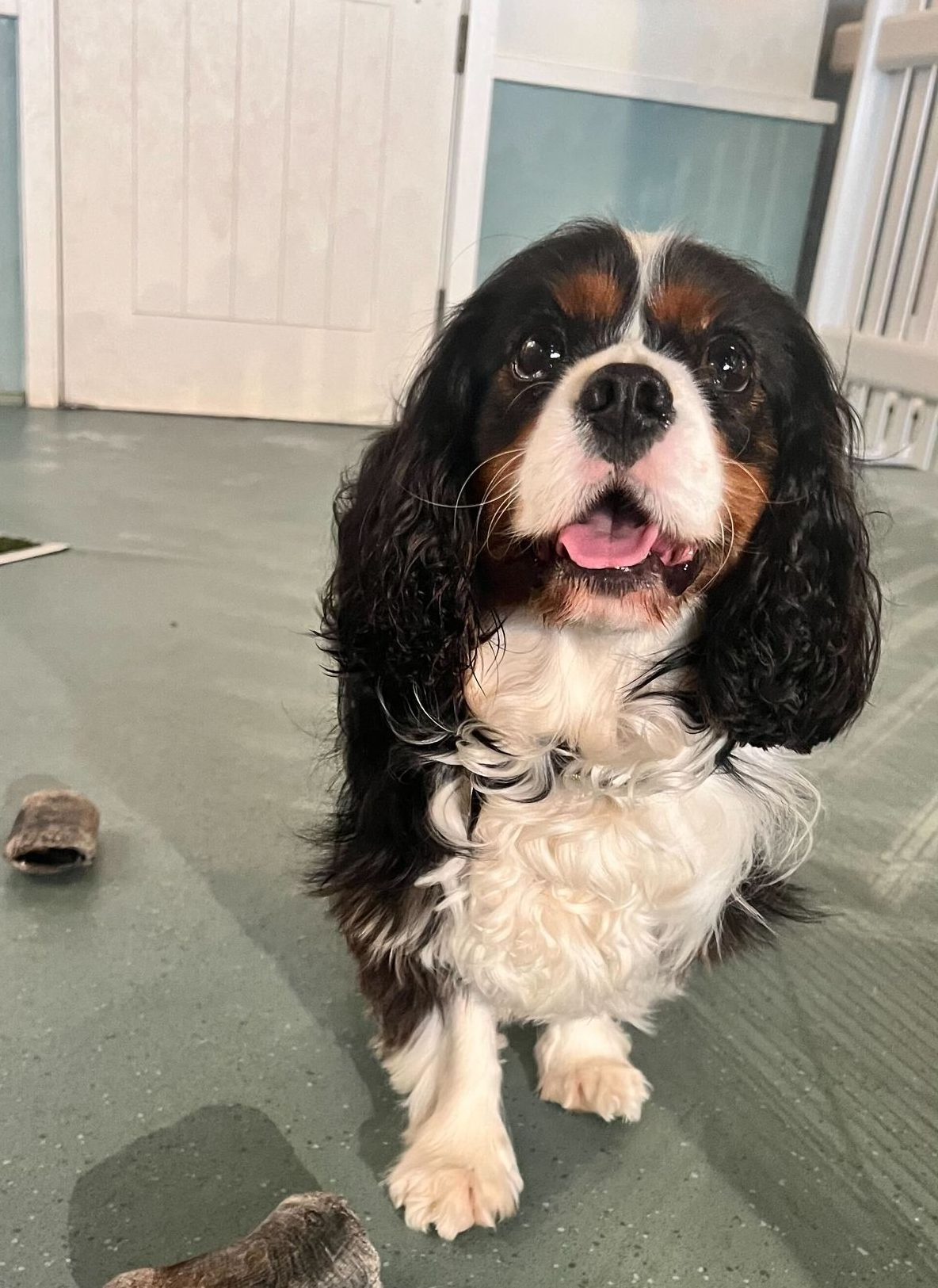 Jess & Oscar